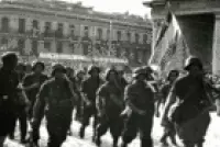 transnational resistance